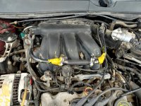 20190624_102235_HDR.jpg
