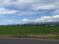 354D4F70-F3D7-4B6E-850D-05D36AB90489.jpeg