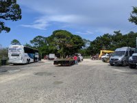 IMG_20190623_174824.jpg