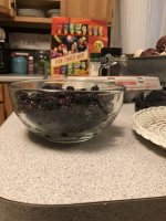 02B74639-8E38-4DF2-9748-31CF0A403EA0.jpeg