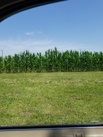 20190628_142403.jpg