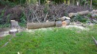 IMG_20190628_094203019.jpg