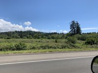 D9245767-BBD3-40F3-B7A4-DDC1319EE7D9.jpeg
