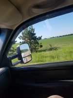 20190629_092519.jpg