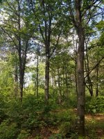 20190629_112750.jpg 20190629_112750.jpg