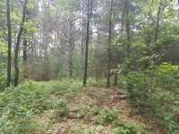 20190629_112755.jpg 20190629_112755.jpg