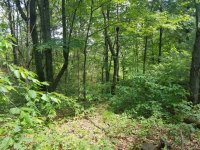 20190629_112758.jpg 20190629_112758.jpg