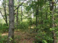 20190629_112801.jpg 20190629_112801.jpg