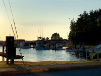 771CED40-2871-4A07-BE58-CEE9483450E3.jpeg 771CED40-2871-4A07-BE58-CEE9483450E3.jpeg