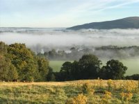 21314729_10155772804045774_1621733111093450951_n.jpg 21314729_10155772804045774_1621733111093450951_n.jpg