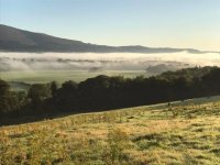 21314819_10155772804040774_8233537192997123373_n.jpg 21314819_10155772804040774_8233537192997123373_n.jpg