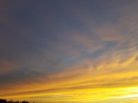 20190630_205612.jpg