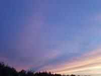 20190630_205616.jpg