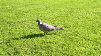 WP_20190701_18_15_06_Pro.jpg