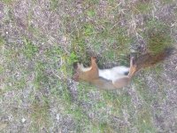 IMG_20190703_185636819.jpg