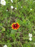 20190704_094416.jpg