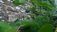 WP_20190703_21_15_37_Pro.jpg