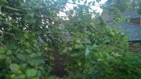 WP_20190703_21_15_48_Pro.jpg