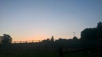 WP_20190703_21_20_43_Pro.jpg