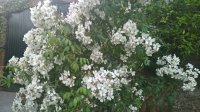WP_20190703_21_16_04_Pro.jpg