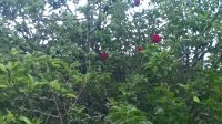 WP_20190703_21_16_13_Pro.jpg