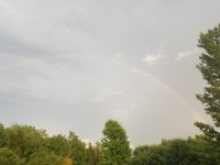 20190704_195246.jpg