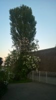 WP_20190703_21_17_01_Pro.jpg