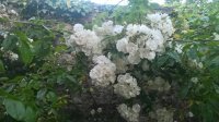 WP_20190703_21_17_35_Pro.jpg