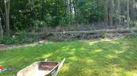 IMG_20190705_110111748.jpg