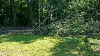 IMG_20190705_110054752.jpg