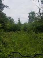 20190706_121149.jpg