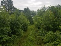 20190706_121322.jpg