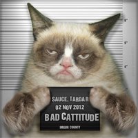 file_1737_TN-best-Grumpy-Cat-memes.jpg
