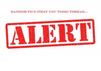 Alert-47390257.JPG