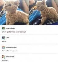 92D07E5F-7174-4D9E-B76F-5651CB7A1B93.jpeg