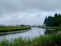 A8D509E1-698B-4C71-8630-521389FA0674.jpeg