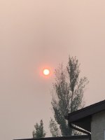 4A58936F-6AD8-4806-AC1A-181B121E670D.jpeg