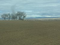 image.jpeg image.jpeg