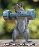 lifting-weights.jpg
