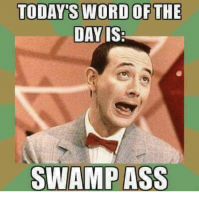 todays-word-ofthe-dayis-swamp-ass-25968247.png