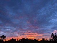 IMG_20190712_204803.jpg