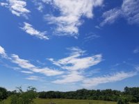 20190713_135637.jpg