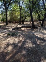 IMG_20190713_164556.jpg