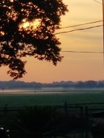 20190713_063925.jpg