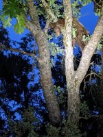 IMG_20190714_205915.jpg