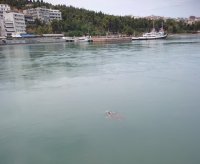 IMG_20190715_133628.jpg