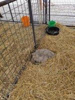 20180602_124036.jpg