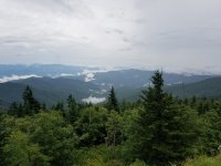 20190714_165412.jpg