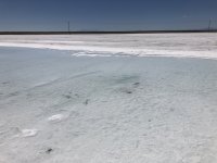 803074AA-1E8B-4D05-8636-165DF2A50701.jpeg