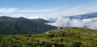 20190718_093539.jpg